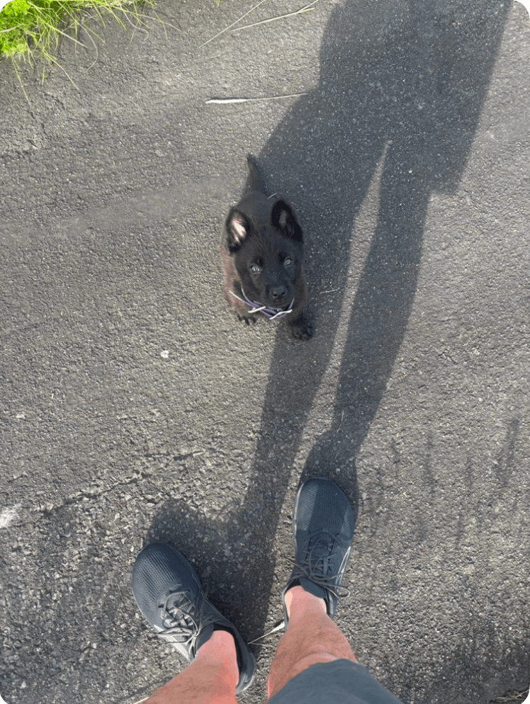 Screenshot 2026-04-28 at 9.45.16 AM.png