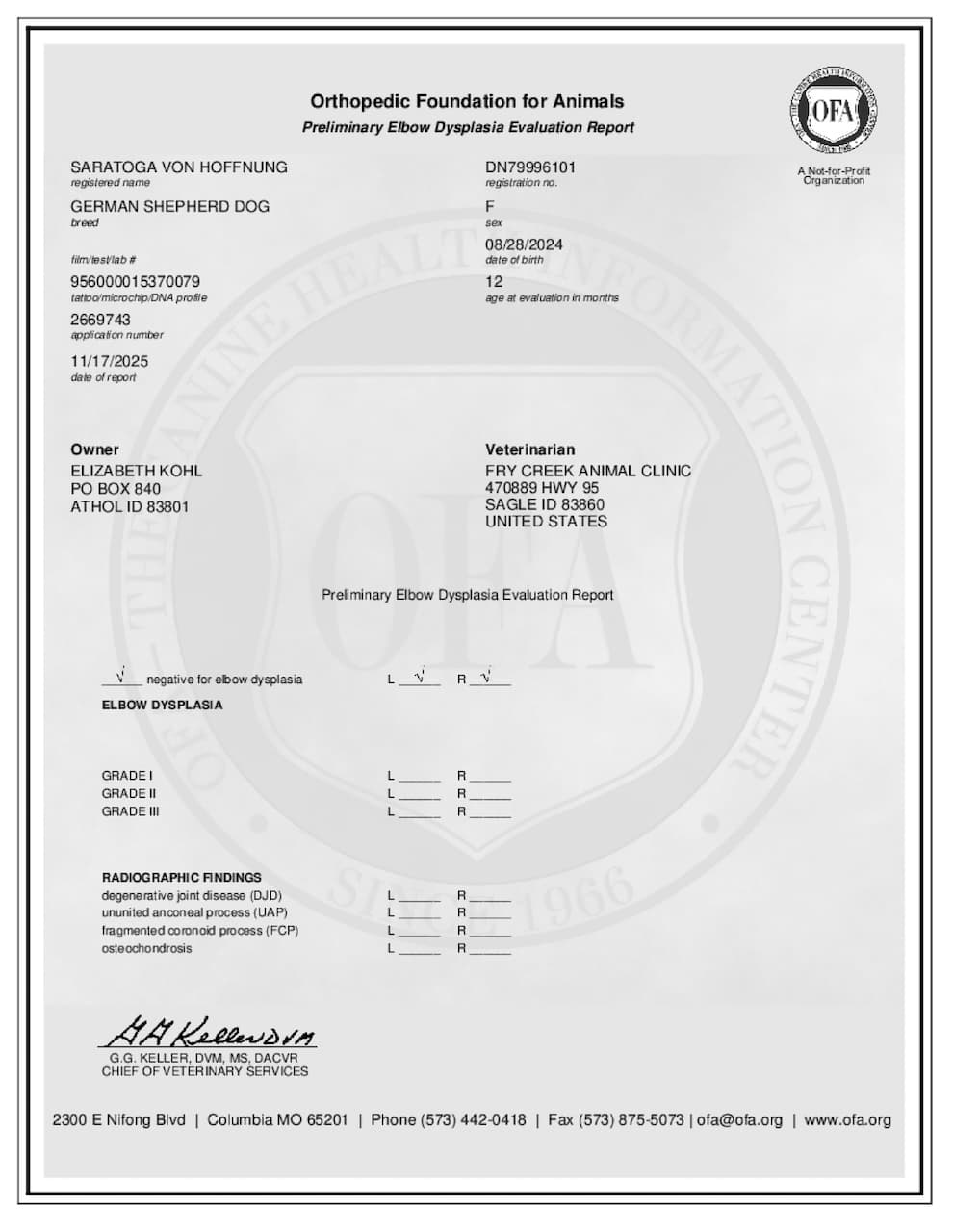 Toga's OFA Preliminary Elbow .jpeg