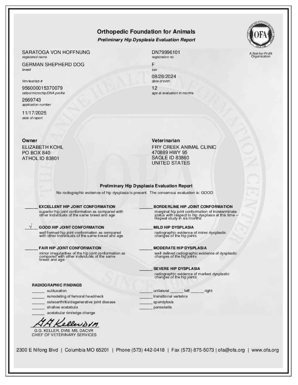 Toga's OFA Preliminary Hip.jpeg