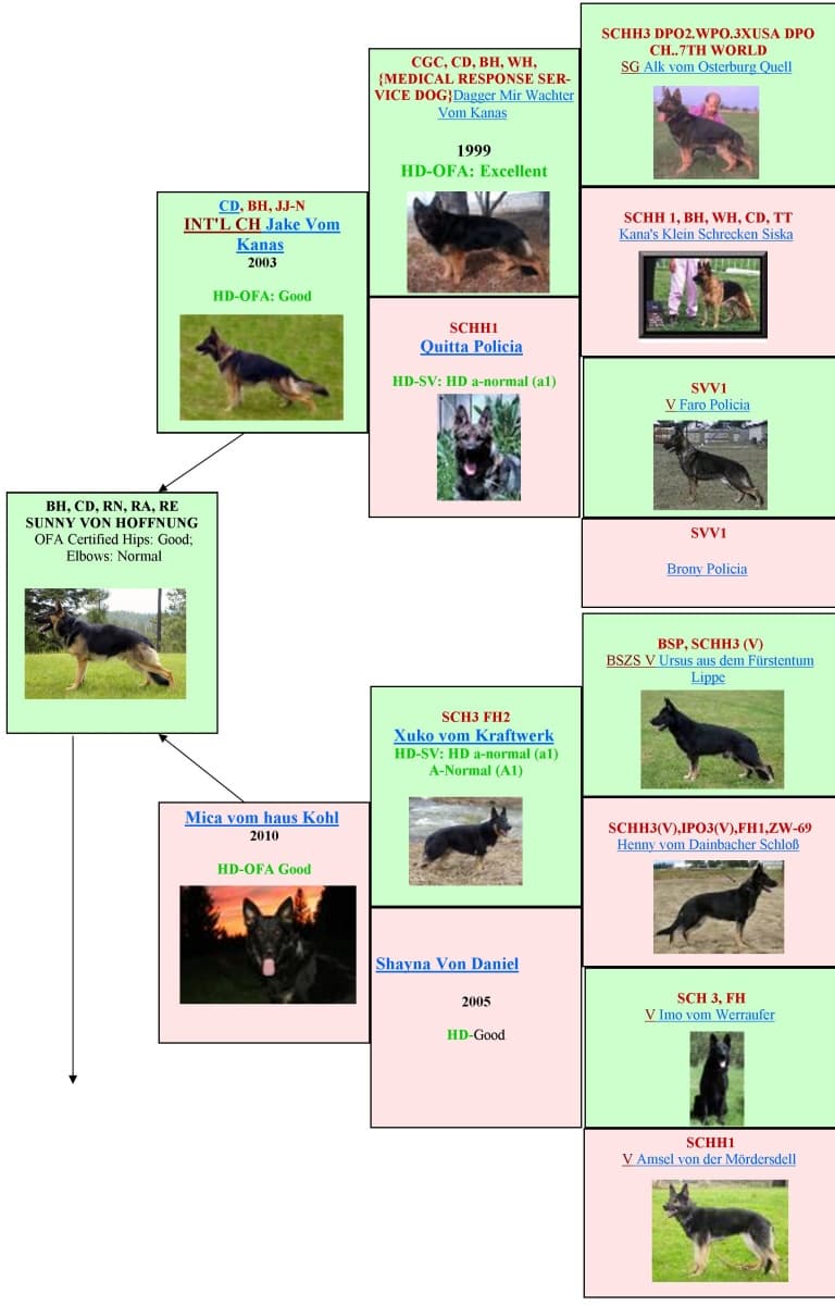 Brun-Pedigree-A-4-Gen.jpg