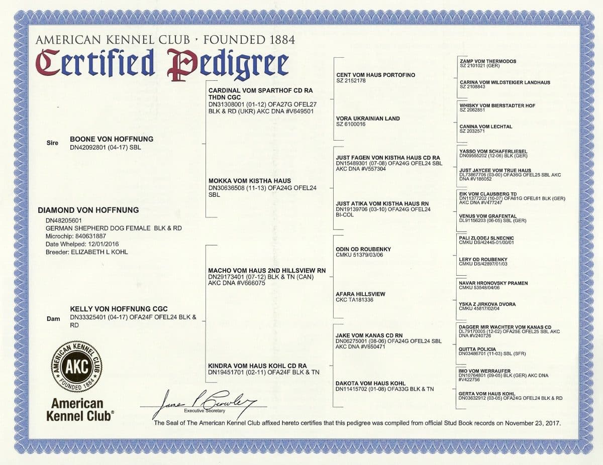 Diamonds-Pedigree-2-1-e1521222898465.jpeg