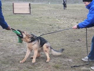 kelly-protection-23.jpg