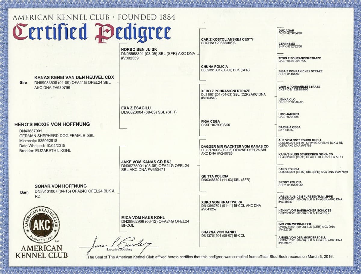 Heros-Moxie-pedigree.jpg