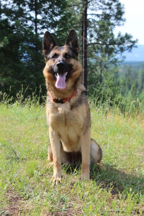 Moxie-July-201900003-e1562953880382-500x750.jpg