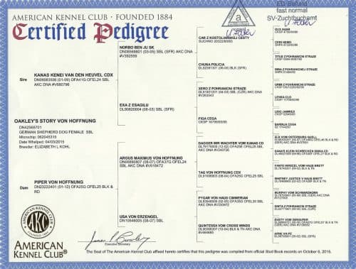 Oakley-Pedigree-500x379.jpeg