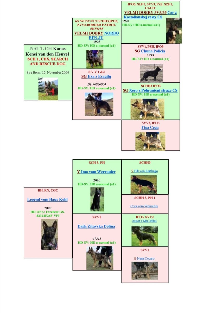 Trace-Pedigree.jpg