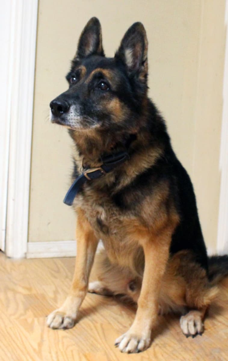 Jake-Twelfth-Birthday.jpg