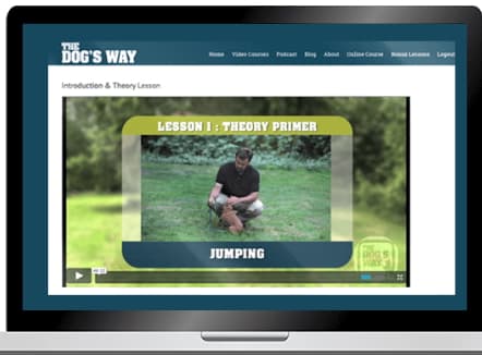 thedogsway.jpeg
