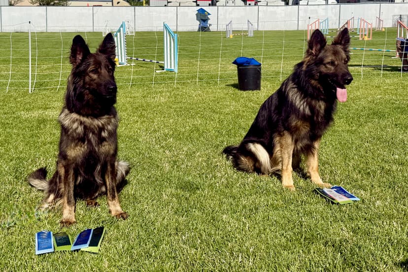 nikarangeragility.jpeg