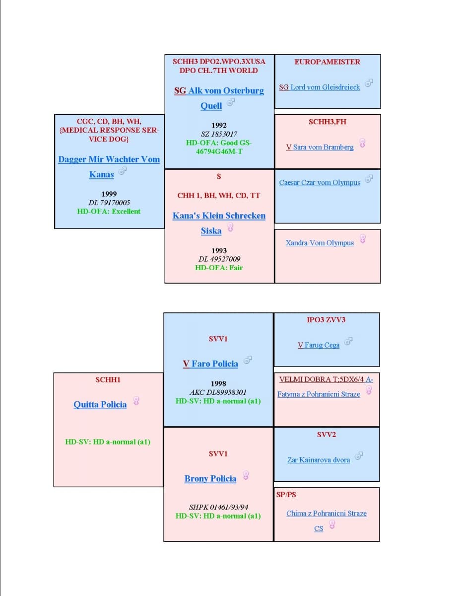 Jakes-Pedigree.jpg