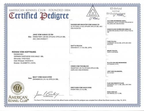 Rohan-pedigree-500x386.jpg