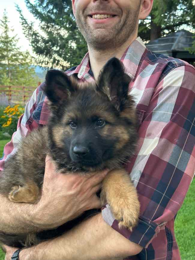 Tobbs an alert puppy.jpeg