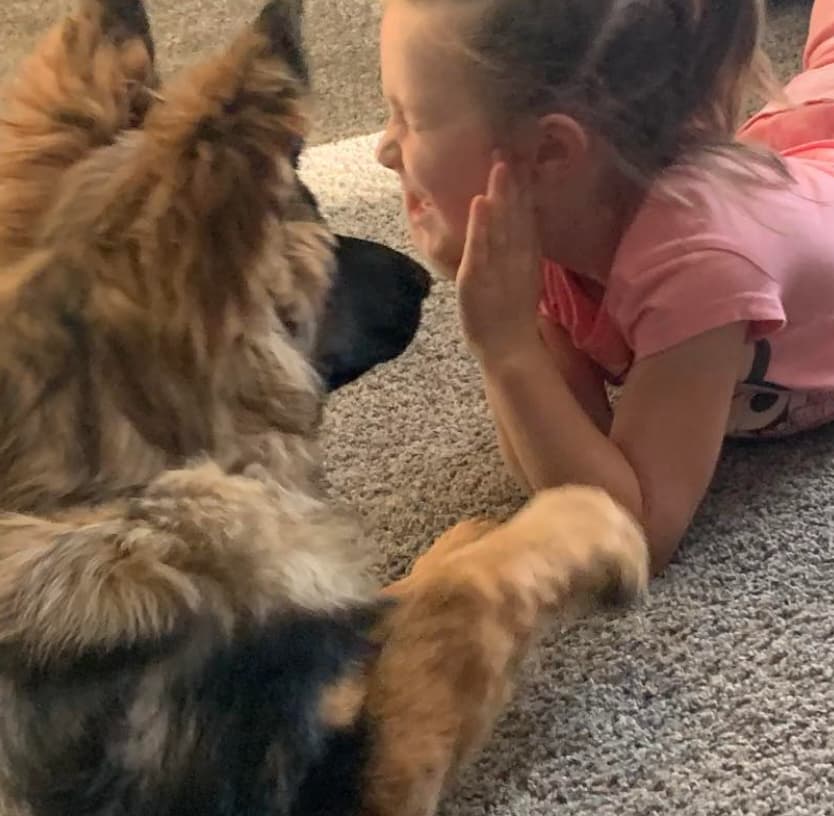 Skye-german-shepherd-with children1.jpeg