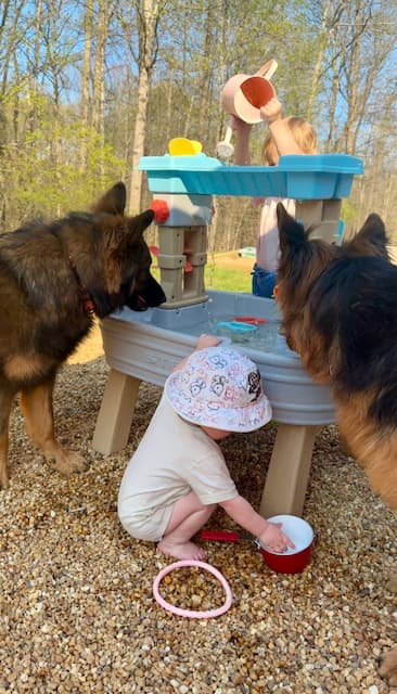 sable-longcoated-german-shepherd-with-children2.jpeg