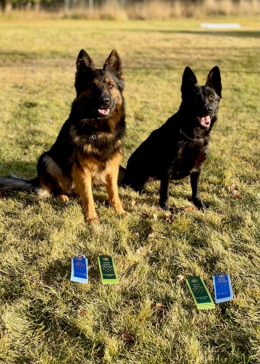 Tobbs and Mercy.jpeg