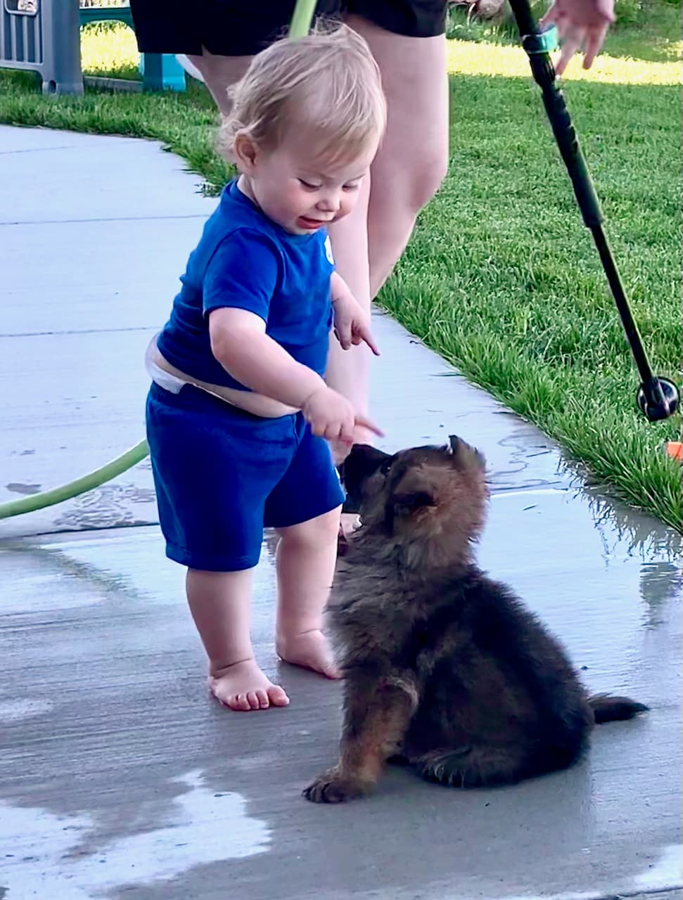 puppy-baby.jpeg
