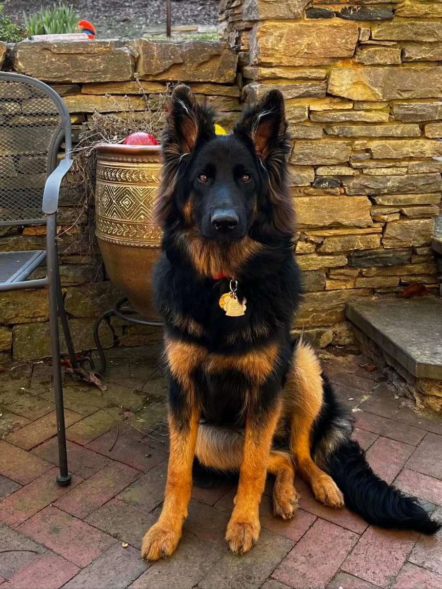 Screenshot 2025-11-09 at 3.33.08 PM.jpeg